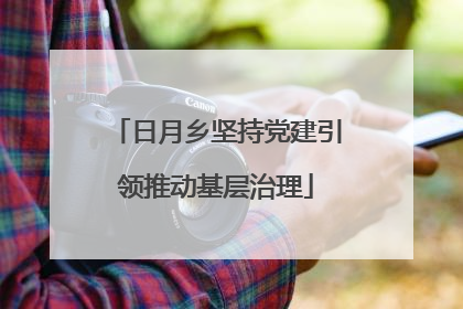 日月乡坚持党建引领推动基层治理
