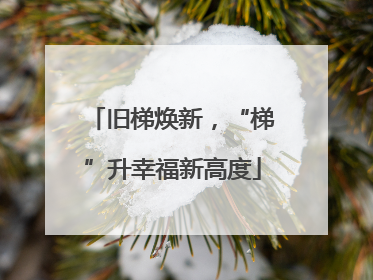 旧梯焕新，“梯”升幸福新高度