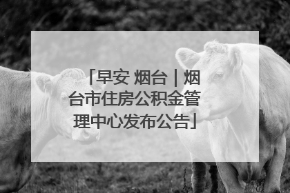 早安 烟台｜烟台市住房公积金管理中心发布公告