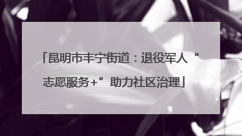 昆明市丰宁街道：退役军人“志愿服务+”助力社区治理