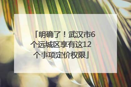 明确了！武汉市6个远城区享有这12个事项定价权限