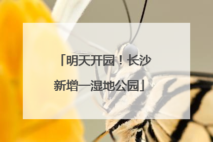 明天开园！长沙新增一湿地公园