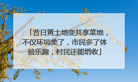 昔日黄土地变共享菜地，不仅环境美了，市民多了体验乐趣，村民还能增收