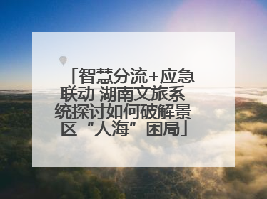 智慧分流+应急联动 湖南文旅系统探讨如何破解景区“人海”困局