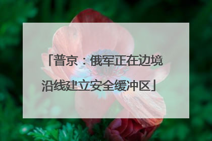 普京：俄军正在边境沿线建立安全缓冲区