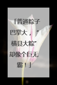 普通粽子巴掌大，“横县大粽”却像个巨无霸！