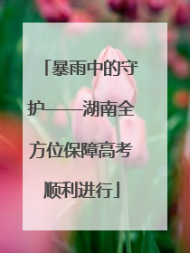 暴雨中的守护——湖南全方位保障高考顺利进行