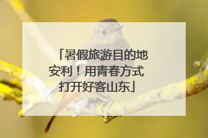 暑假旅游目的地安利！用青春方式打开好客山东