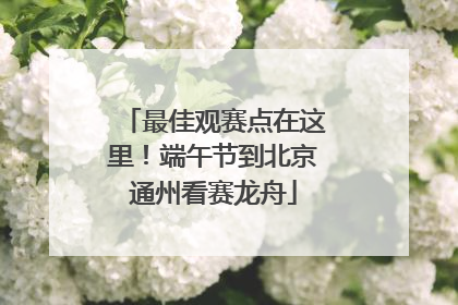 最佳观赛点在这里！端午节到北京通州看赛龙舟