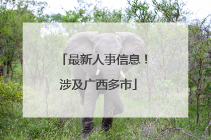 最新人事信息！涉及广西多市