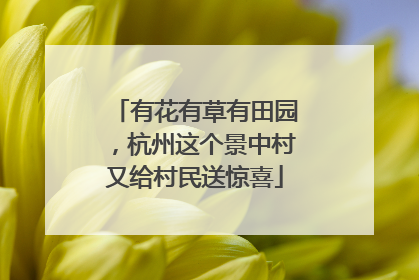 有花有草有田园，杭州这个景中村又给村民送惊喜
