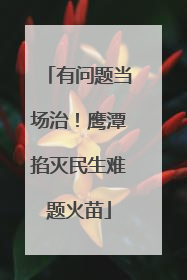 有问题当场治！鹰潭掐灭民生难题火苗