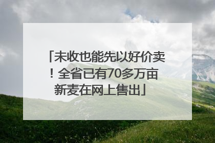 未收也能先以好价卖！全省已有70多万亩新麦在网上售出