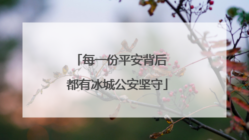 每一份平安背后 都有冰城公安坚守