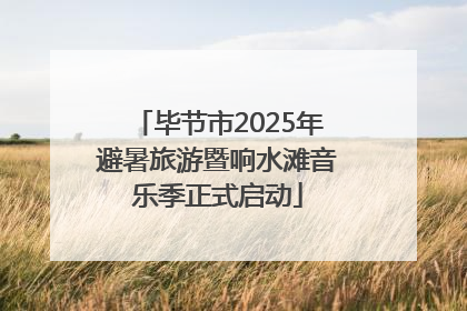 毕节市2025年避暑旅游暨响水滩音乐季正式启动