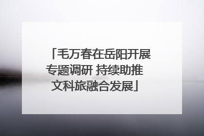 毛万春在岳阳开展专题调研 持续助推文科旅融合发展