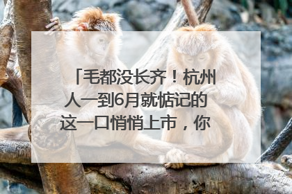 毛都没长齐！杭州人一到6月就惦记的这一口悄悄上市，你打算尝鲜吗？