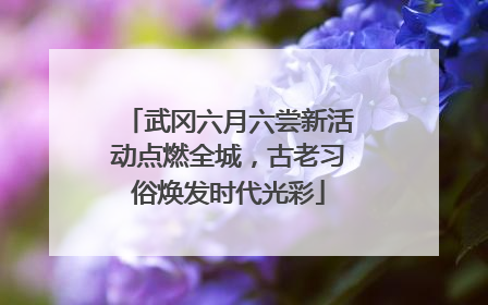 武冈六月六尝新活动点燃全城，古老习俗焕发时代光彩