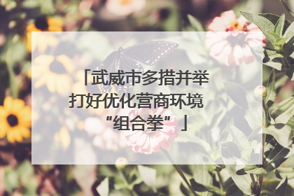 武威市多措并举打好优化营商环境“组合拳”