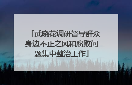 武晓花调研督导群众身边不正之风和腐败问题集中整治工作