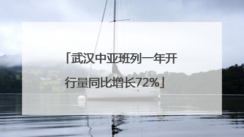 武汉中亚班列一年开行量同比增长72%
