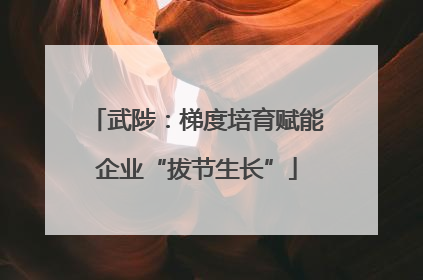 武陟：梯度培育赋能企业“拔节生长”