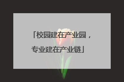校园建在产业园，专业建在产业链