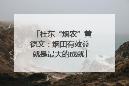 桂东“烟农”黄德文：烟田有效益就是最大的成就