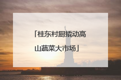 桂东村厨撬动高山蔬菜大市场