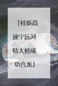桂新高速宁远河特大桥成功合龙