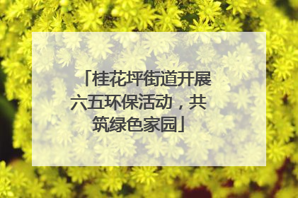 桂花坪街道开展六五环保活动，共筑绿色家园