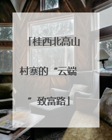 桂西北高山村寨的“云端”致富路