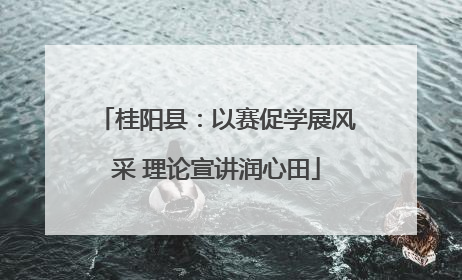 桂阳县：以赛促学展风采 理论宣讲润心田