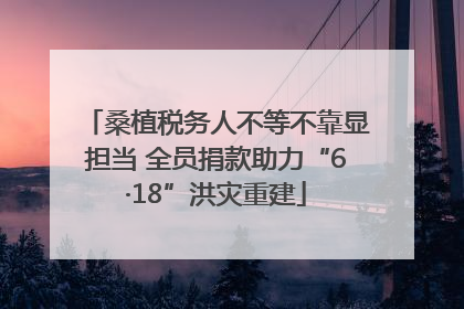 桑植税务人不等不靠显担当 全员捐款助力“6·18”洪灾重建