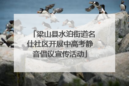 梁山县水泊街道名仕社区开展中高考静音倡议宣传活动