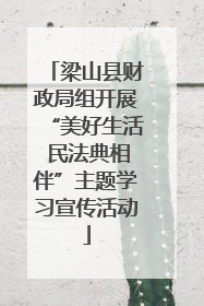 梁山县财政局组开展“美好生活 民法典相伴”主题学习宣传活动