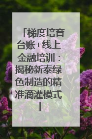 梯度培育台账+线上金融培训：揭秘新泰绿色制造的精准滴灌模式