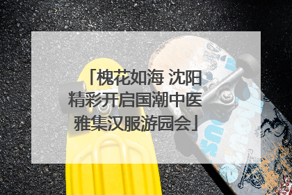 槐花如海 沈阳精彩开启国潮中医雅集汉服游园会
