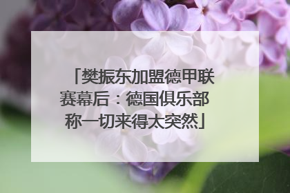 樊振东加盟德甲联赛幕后：德国俱乐部称一切来得太突然