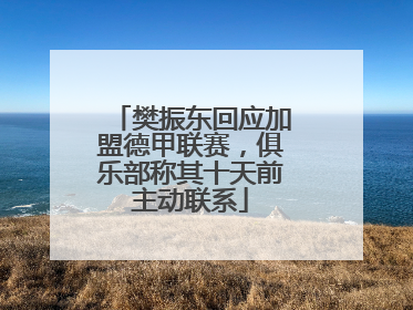 樊振东回应加盟德甲联赛，俱乐部称其十天前主动联系