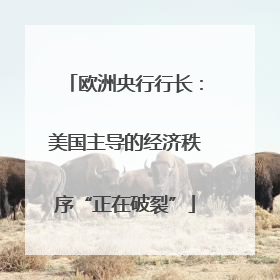 欧洲央行行长：美国主导的经济秩序“正在破裂”