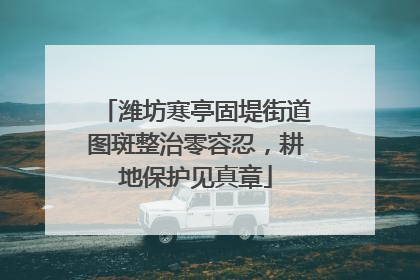 潍坊寒亭固堤街道图斑整治零容忍，耕地保护见真章