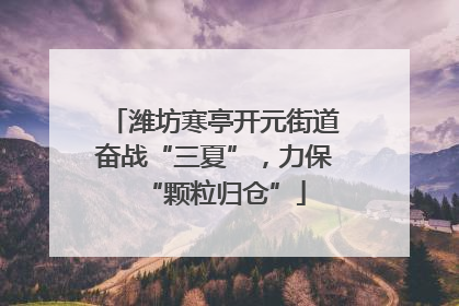 潍坊寒亭开元街道奋战“三夏”，力保“颗粒归仓”