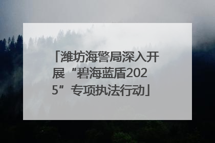 潍坊海警局深入开展“碧海蓝盾2025”专项执法行动