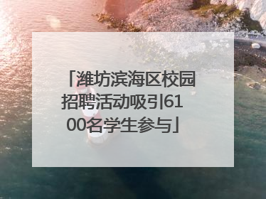 潍坊滨海区校园招聘活动吸引6100名学生参与
