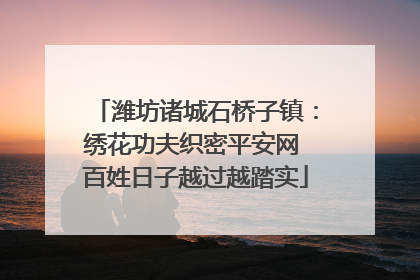 潍坊诸城石桥子镇：绣花功夫织密平安网 百姓日子越过越踏实