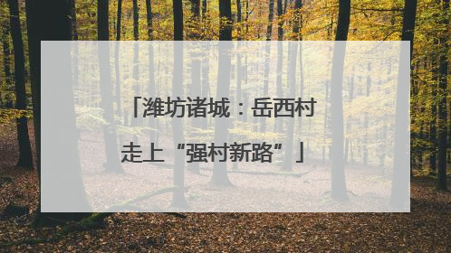潍坊诸城：岳西村走上“强村新路”