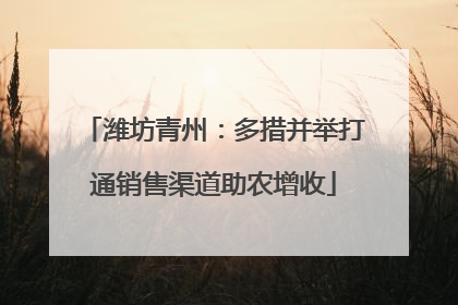 潍坊青州：多措并举打通销售渠道助农增收