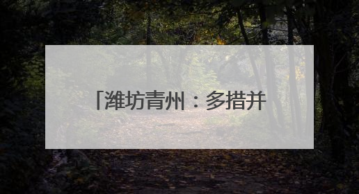潍坊青州：多措并举暖心护航高考
