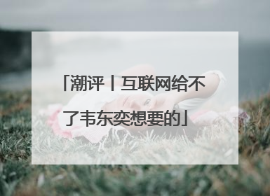 潮评丨互联网给不了韦东奕想要的